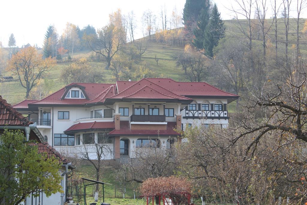 Gasthof Conacul Bratescu 4*